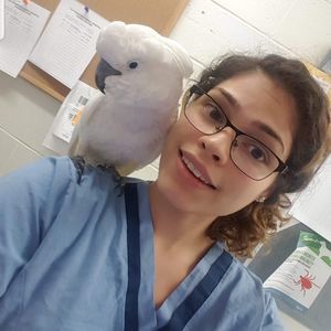 Meet your Posher, Aury